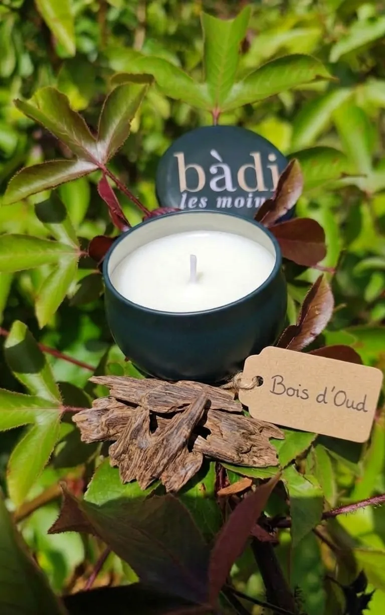 Bougie Bois de oud en petit pot vert