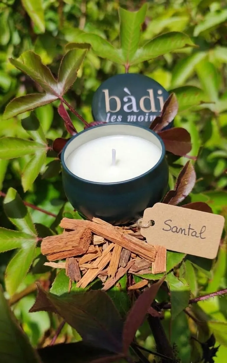 Bougie Bois de santal en petit pot vert