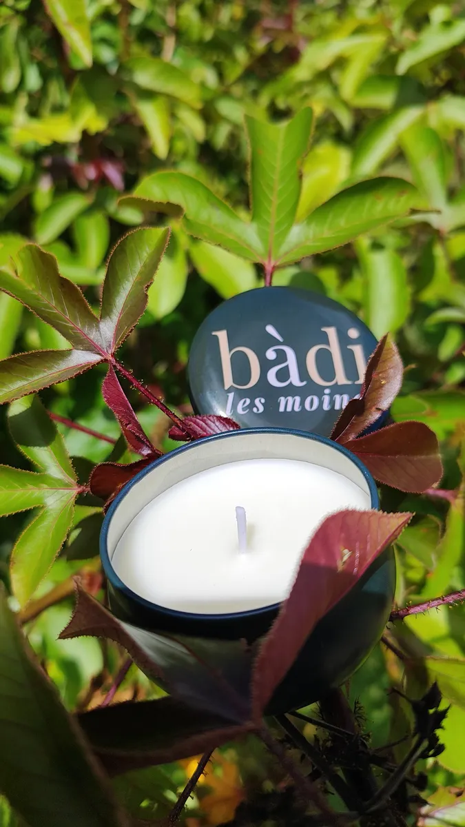 Bougie bàdi en petit pot vert, parmi les feuilles