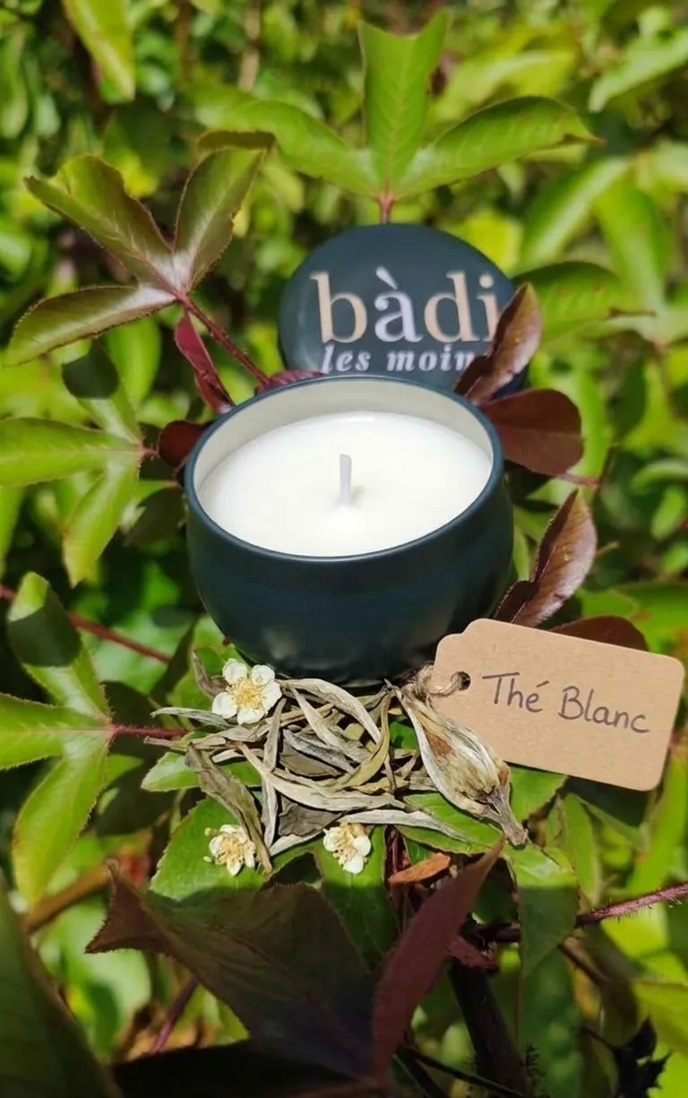 Bougie Thé blanc en petit pot vert