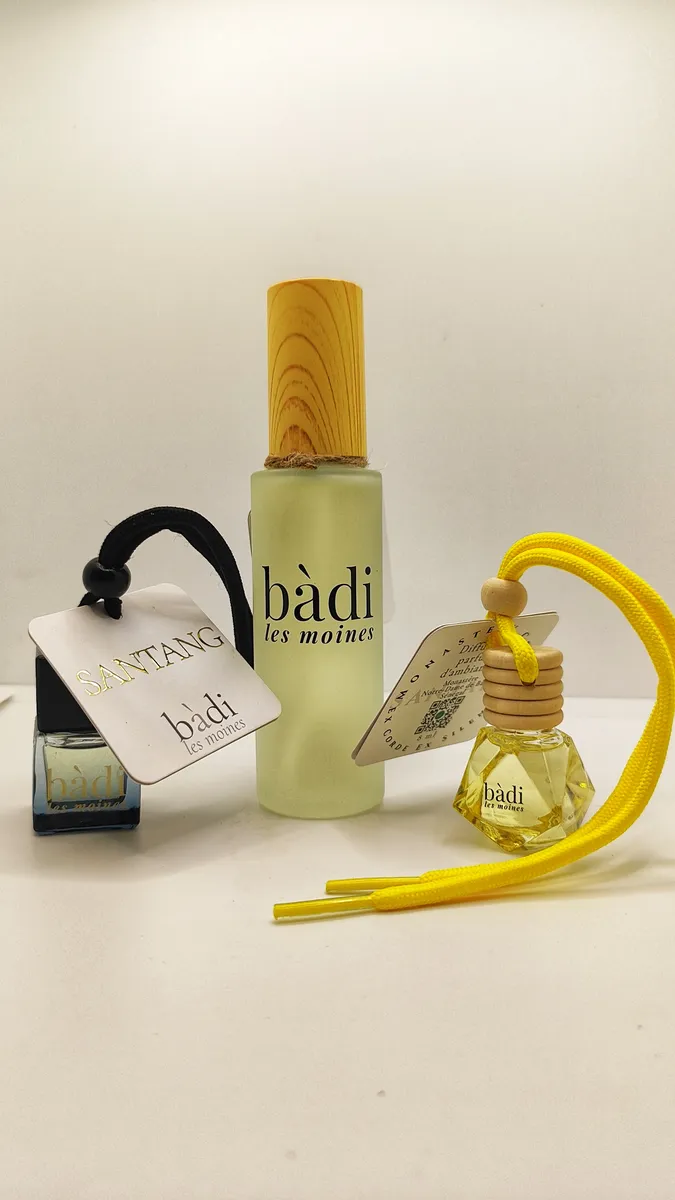 Santang : spray 50 ml et diffuseur 8 ml